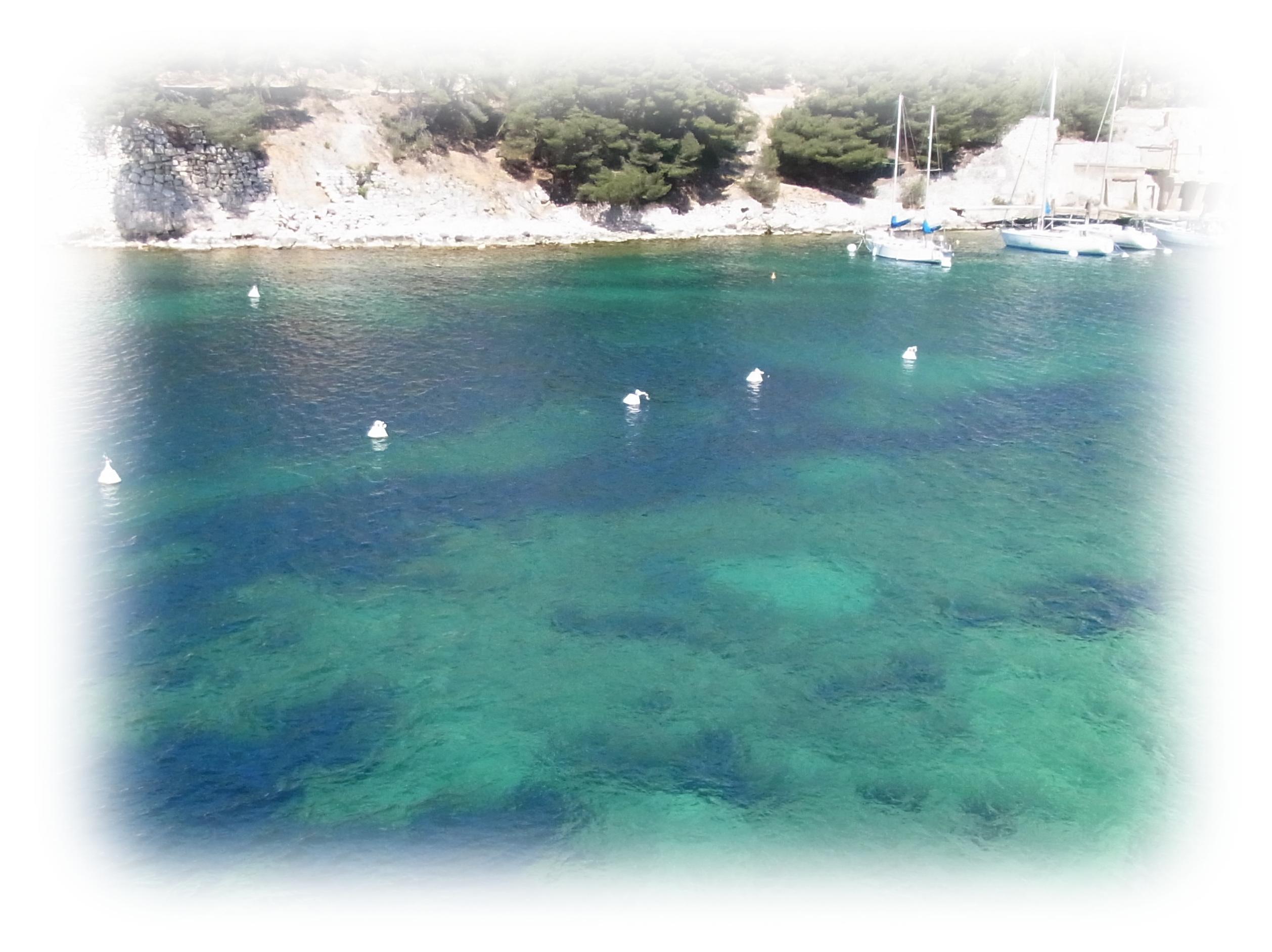 le Calanque de Cassis